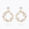 Caroline Svedbom Circle Of Love Earrings/Crystal Hot